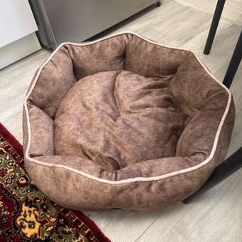 Лежанка для собак Barbaks Крем-брюле M 60*50*18см со съемной подушкой: отзыв пользователя. Зоомагазин Зоозавр