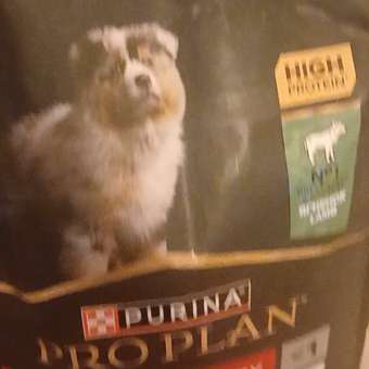 Корм для щенков PRO PLAN средних пород с комплексом Optidigest с чувствительным пищеварением с ягненком 1.5 кг: отзыв пользователя. Зоомагазин Зоозавр