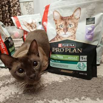 Корм сухой для кошек PRO PLAN RENAL PLUS 400г + 200г с индейкой для стерилизованных: отзыв пользователя. Зоомагазин Зоозавр