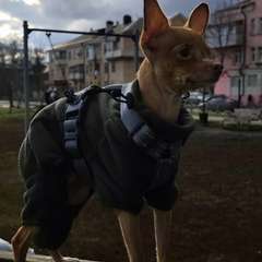 Фото отзыва 10697979