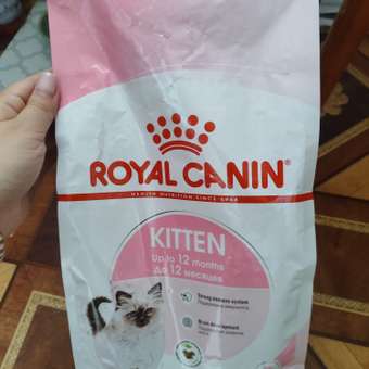 Корм сухой для котят ROYAL CANIN Kitten 2кг: отзыв пользователя. Зоомагазин Зоозавр
