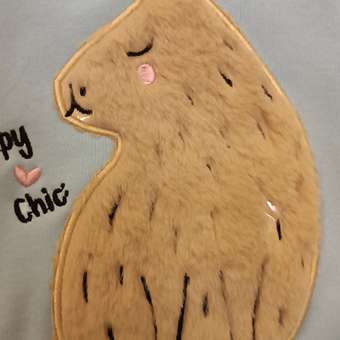 Толстовка для собак и кошек Зоозавр: отзыв пользователя. Зоомагазин Зоозавр