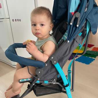Коляска прогулочная Babyton Zoo Blue синий: отзыв пользователя ДетМир