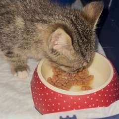 Фото отзыва 10958166