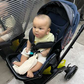 Коляска прогулочная Olsson Jazz Blue голубой: отзыв пользователя Детский Мир