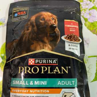 Корм влажный для собак PRO PLAN 85г с говядиной в соусе для мелких и карликовых пород: отзыв пользователя. Зоомагазин Зоозавр