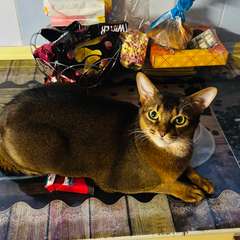 Фото отзыва 10778451