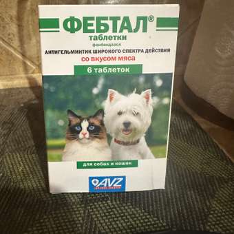 Препарат для кошек и собак АВЗ Фебтал 6таблеток: отзыв пользователя. Зоомагазин Зоозавр