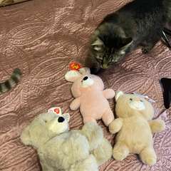 Фото отзыва 10683375