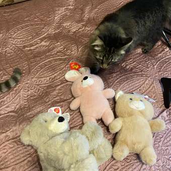 Мягкая игрушка Abtoys: отзыв пользователя Детский Мир