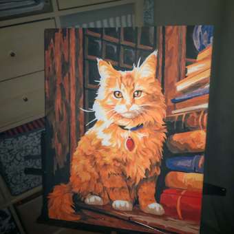Картина по номерам Art on Canvas Мудрый кот в ассортименте: отзыв пользователя Детский Мир