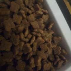 Фото отзыва 10716208