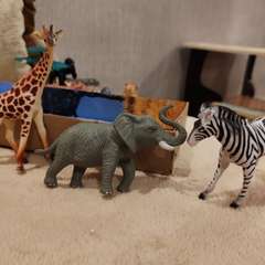 Фото отзыва 10575861