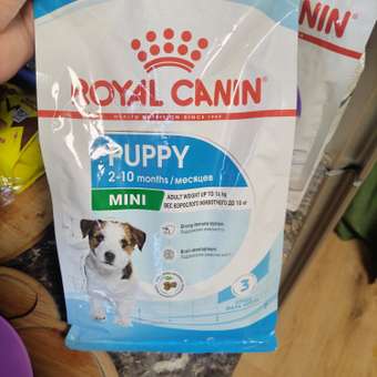 Корм для щенков ROYAL CANIN Puppy мелких пород 800г: отзыв пользователя. Зоомагазин Зоозавр
