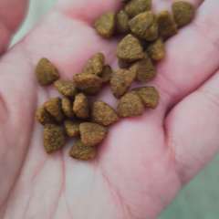 Фото отзыва 10953682