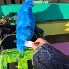 Фото отзыва 11128486