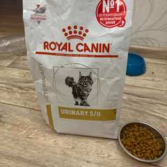 Фото отзыва 10839185