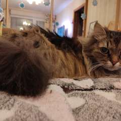 Фото отзыва 11000122