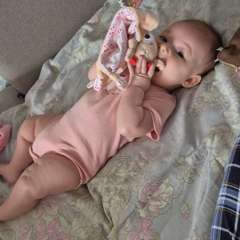 Фото отзыва 11084813