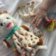 Фото отзыва 10551951