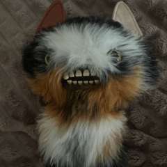 Фото отзыва 10428345