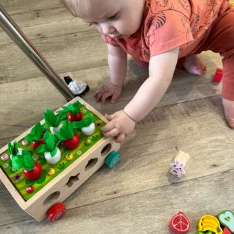 Игрушка Умный пупс сортер: отзыв пользователя Детский Мир