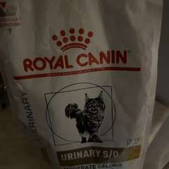 Фото отзыва 10440798