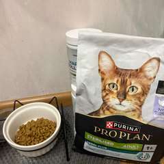 Фото отзыва 10999831