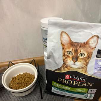 Корм сухой для кошек PRO PLAN RENAL PLUS 1.5 кг с кроликом для стерилизованных: отзыв пользователя. Зоомагазин Зоозавр