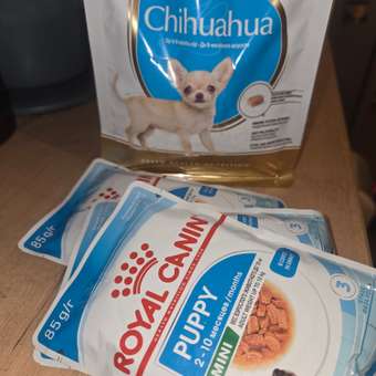 Корм для щенков ROYAL CANIN породы чихуахуа 500г: отзыв пользователя. Зоомагазин Зоозавр