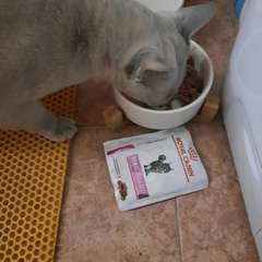 Фото отзыва 10731274