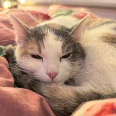 Фото отзыва 11078636