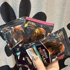 Фото отзыва 10877739