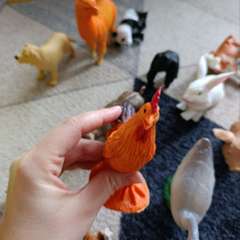 Фото отзыва 10698490