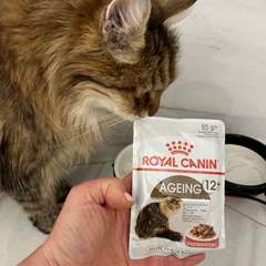 Фото отзыва 10706927