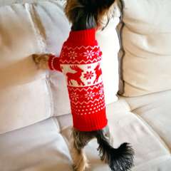 Фото отзыва 10651994