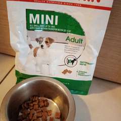 Фото отзыва 10331193