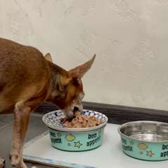 Видео отзыва 10788588