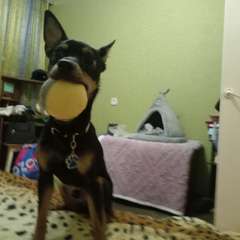 Фото отзыва 11034734