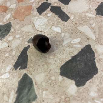 Витамины для сердца и сосудов Green Leaf Formula для мозга и нервной системы для спорта 790 мг 60 капсул: отзыв пользователя Детский Мир