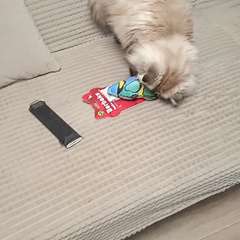 Видео отзыва 9713142