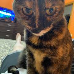 Фото отзыва 10802882