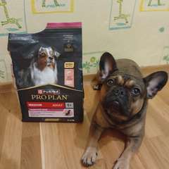 Фото отзыва 11089863