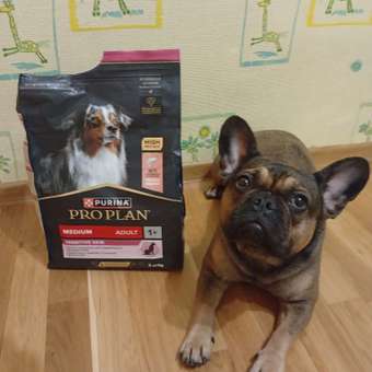 Корм сухой для собак PRO PLAN SENSITIVE SKIN 3 кг с лососем для средних пород: отзыв пользователя. Зоомагазин Зоозавр