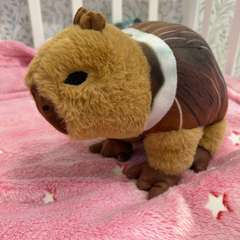 Фото отзыва 11031615