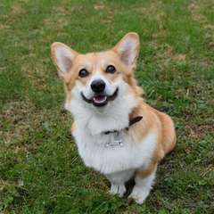 Фото отзыва 10892137