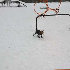 Видео отзыва 11036627