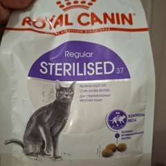 Фото отзыва 10995420