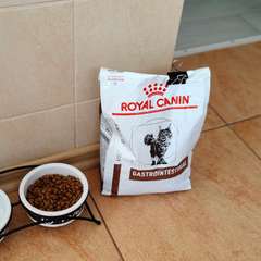 Фото отзыва 10641005