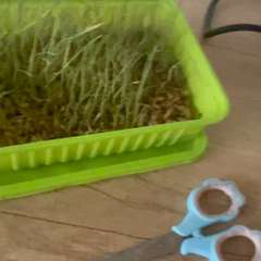 Видео отзыва 10581743